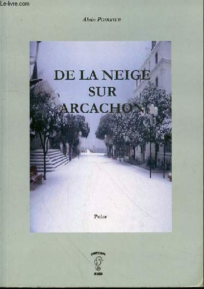 DE LA NEIGE SUR ARCACHON