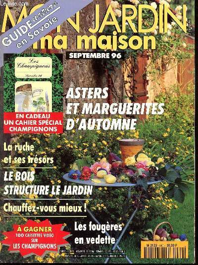 MON JARDIN ET MA MAISON N440 - SEPTEMBRE 1996 - ASTERS ET MARGUERITES D'AUTOMNE - LA RUCHE ET SES TRESORS - LE BOIS STRUCTURE LE JARDIN - LES FOUGERES EN VEDETTE