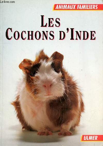 LES COCHONS D'INDE