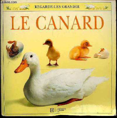 REGARDE-LES GRANDIR LE CANARD - PHOTOS BARRIE WATTS